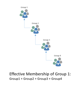 Effective Membership of Group 1